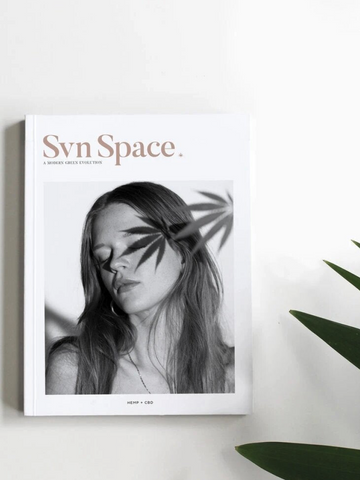 SVN SPACE